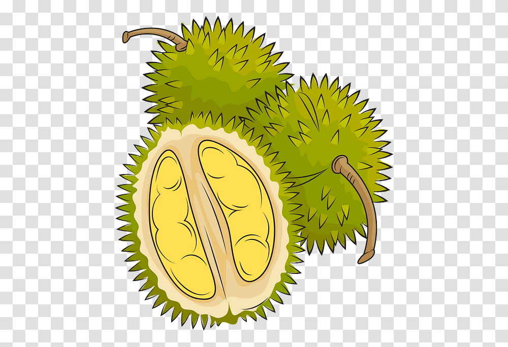 Pineapple, Durian, Fruit, Produce, Plant Transparent Png