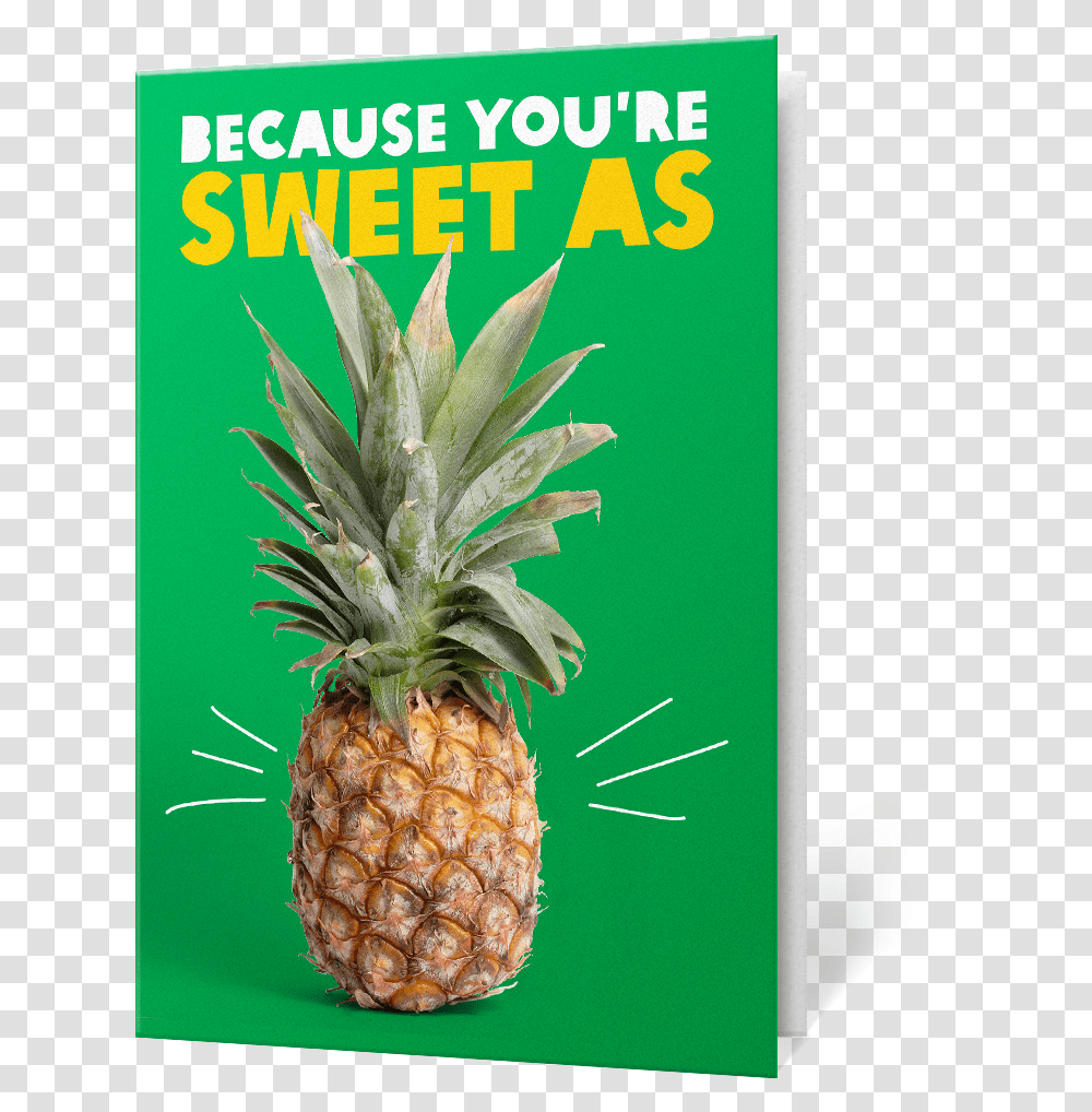 Pineapple Farm Charity Gift Oxfam Unwrapped, Fruit, Plant, Food Transparent Png