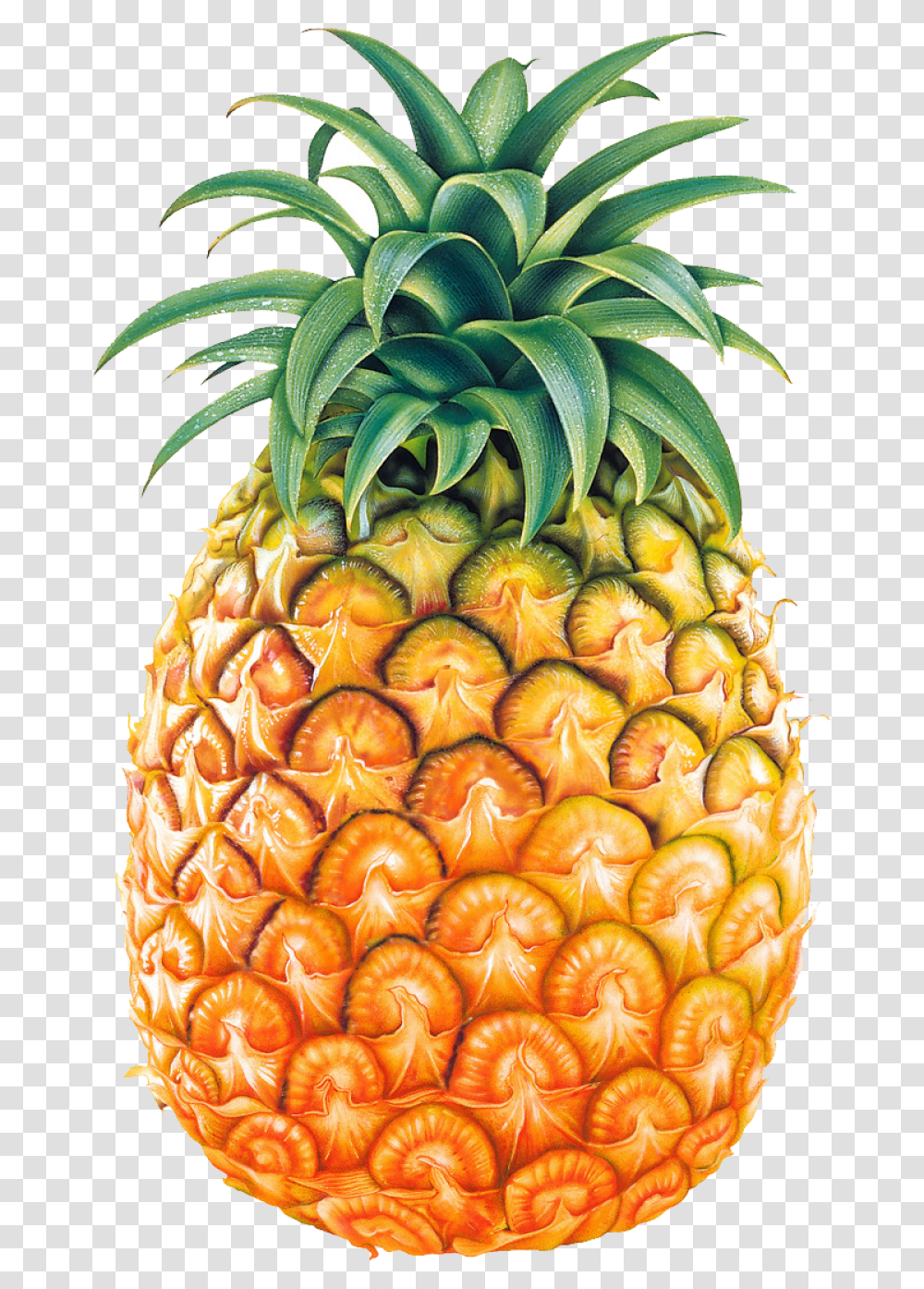 Pineapple Fruit Image Pineapple, Plant, Food Transparent Png