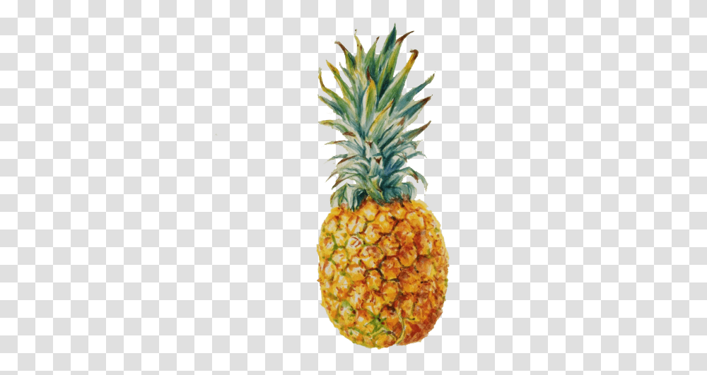 Pineapple Fruit Images Noel Badges Pugh Food, Plant Transparent Png