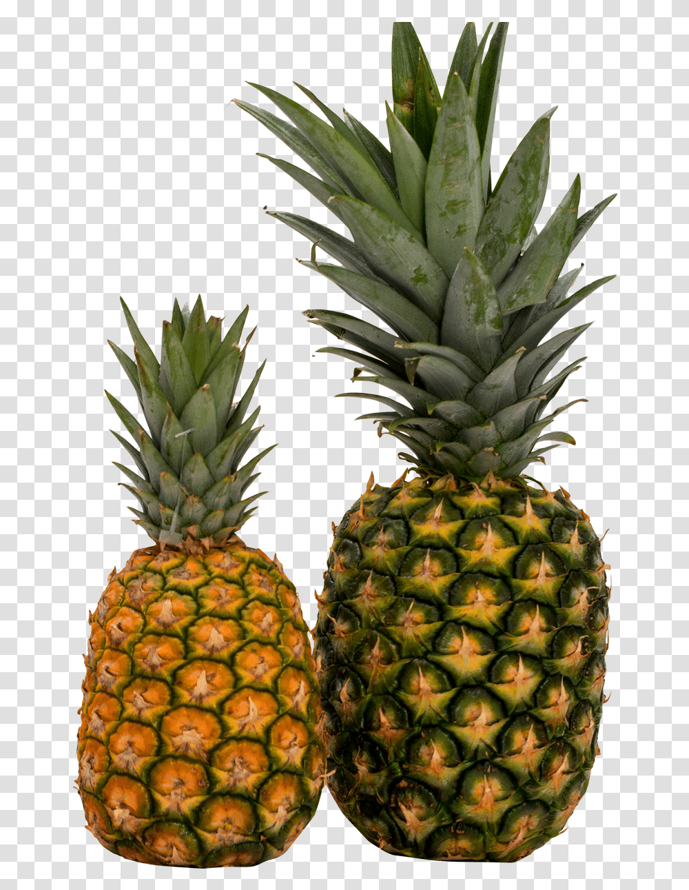 Pineapple Fruit Images Pineapple Vector, Plant, Food Transparent Png