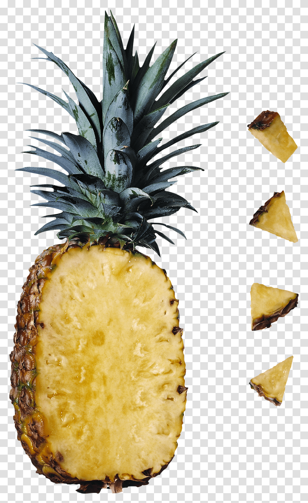 Pineapple, Fruit, Plant, Food, Bread Transparent Png