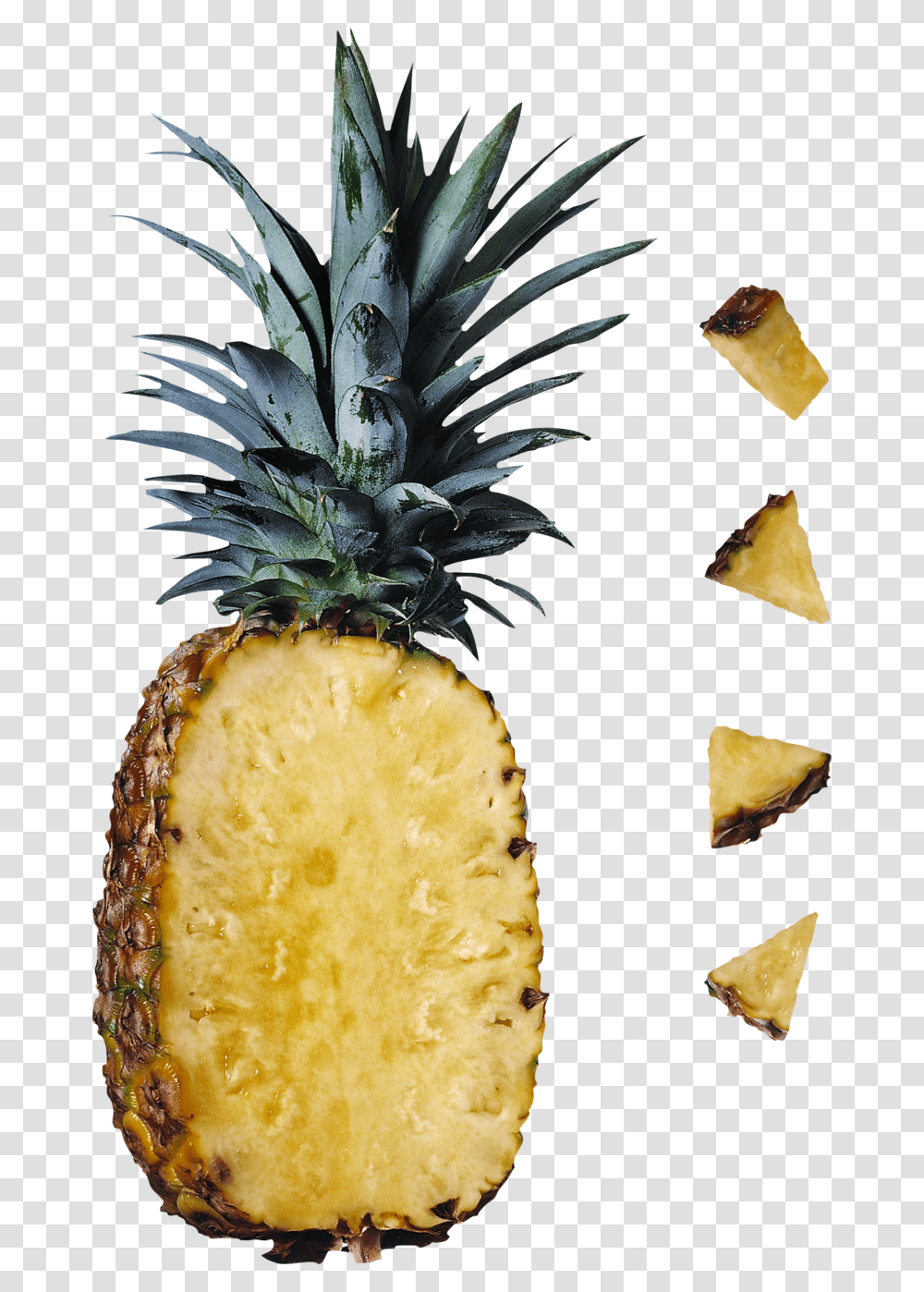 Pineapple, Fruit, Plant, Food, Bread Transparent Png