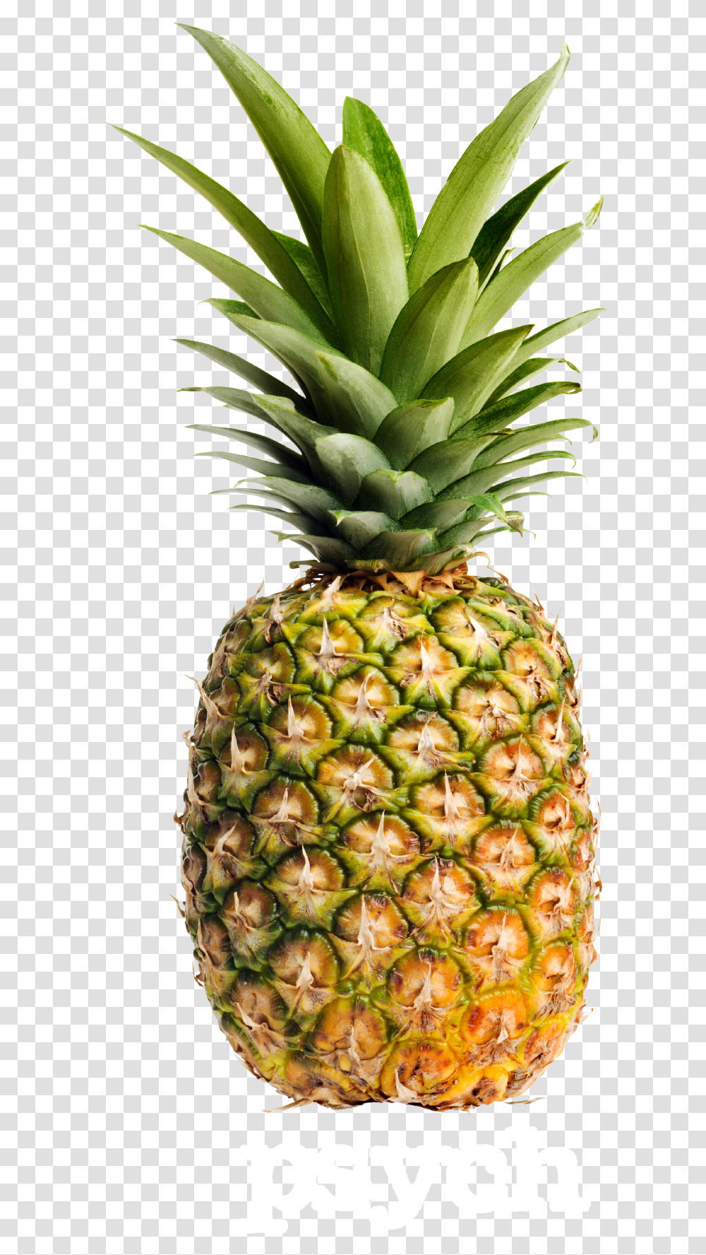 Pineapple Fruit, Plant, Food Transparent Png