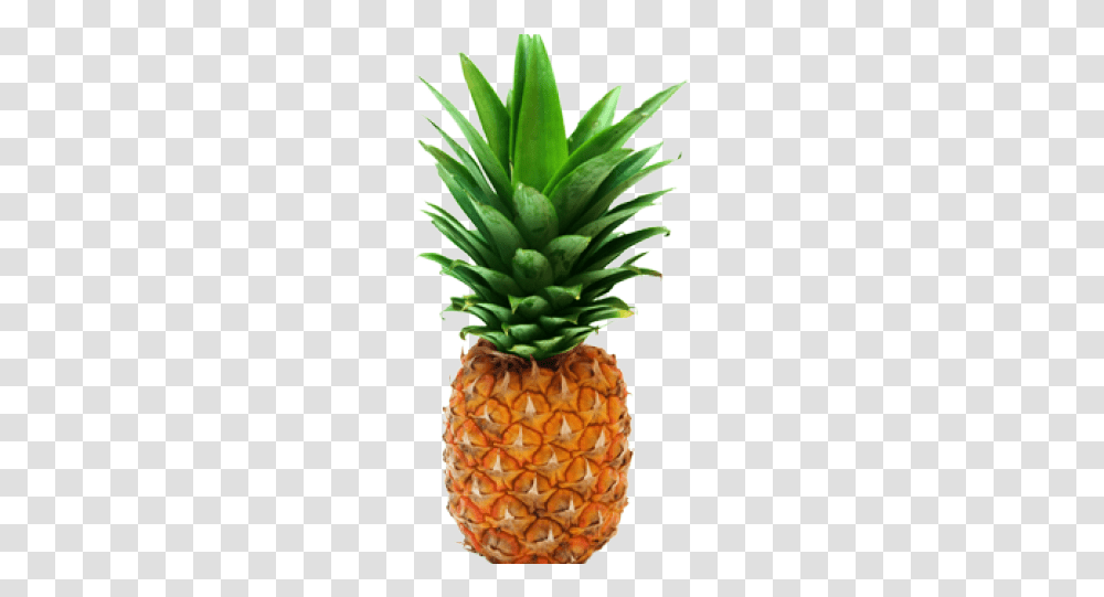 Pineapple Fruit, Plant, Food Transparent Png