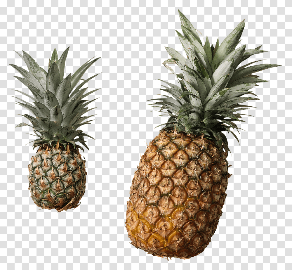 Pineapple, Fruit, Plant, Food Transparent Png