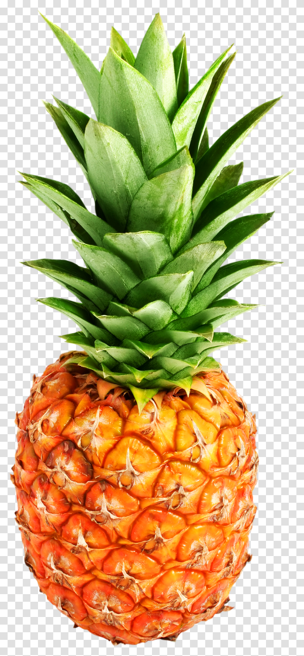 Pineapple, Fruit, Plant, Food Transparent Png