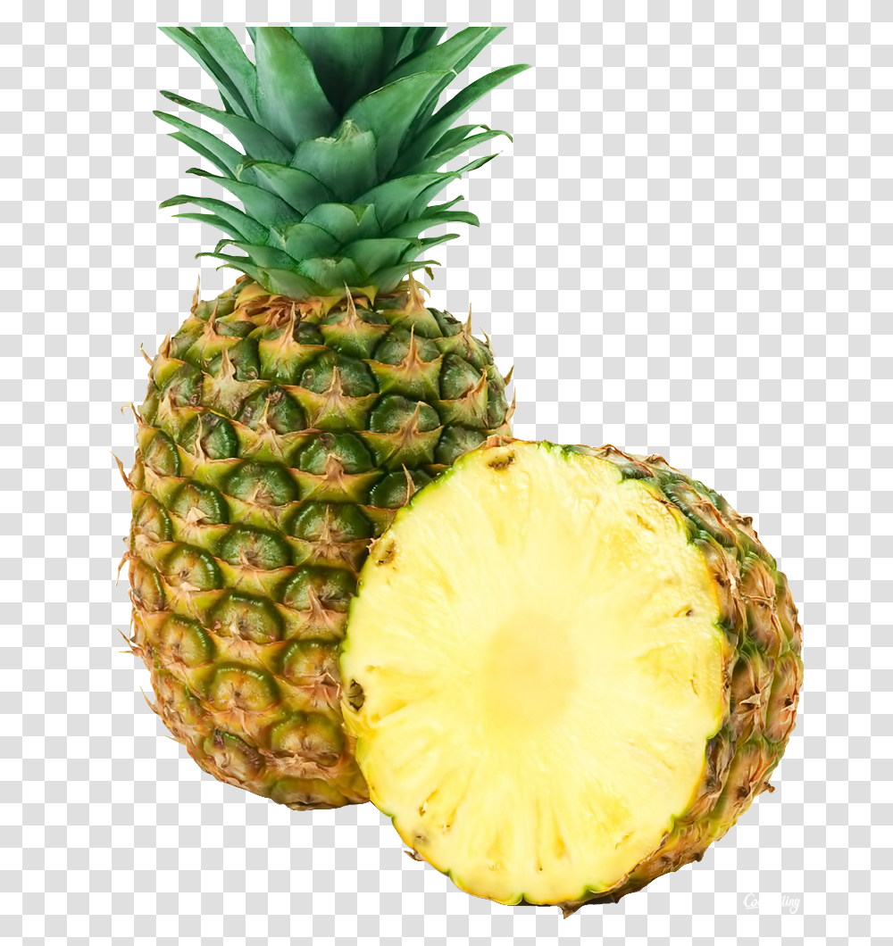 Pineapple, Fruit, Plant, Food Transparent Png