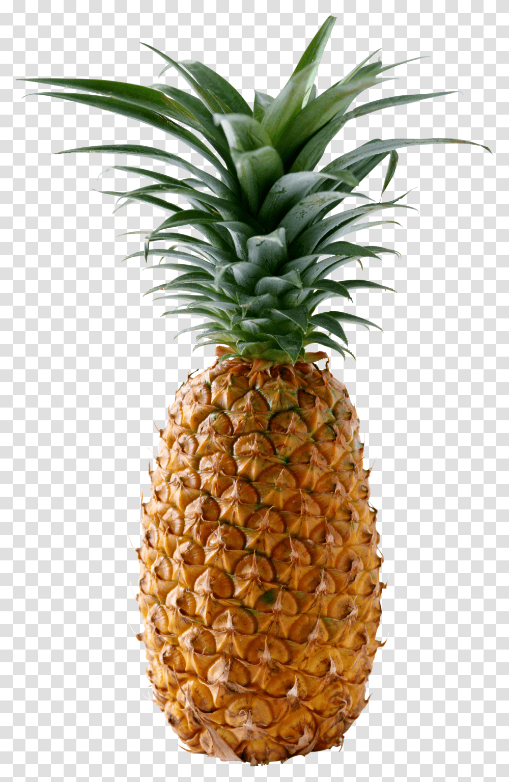 Pineapple, Fruit, Plant, Food Transparent Png