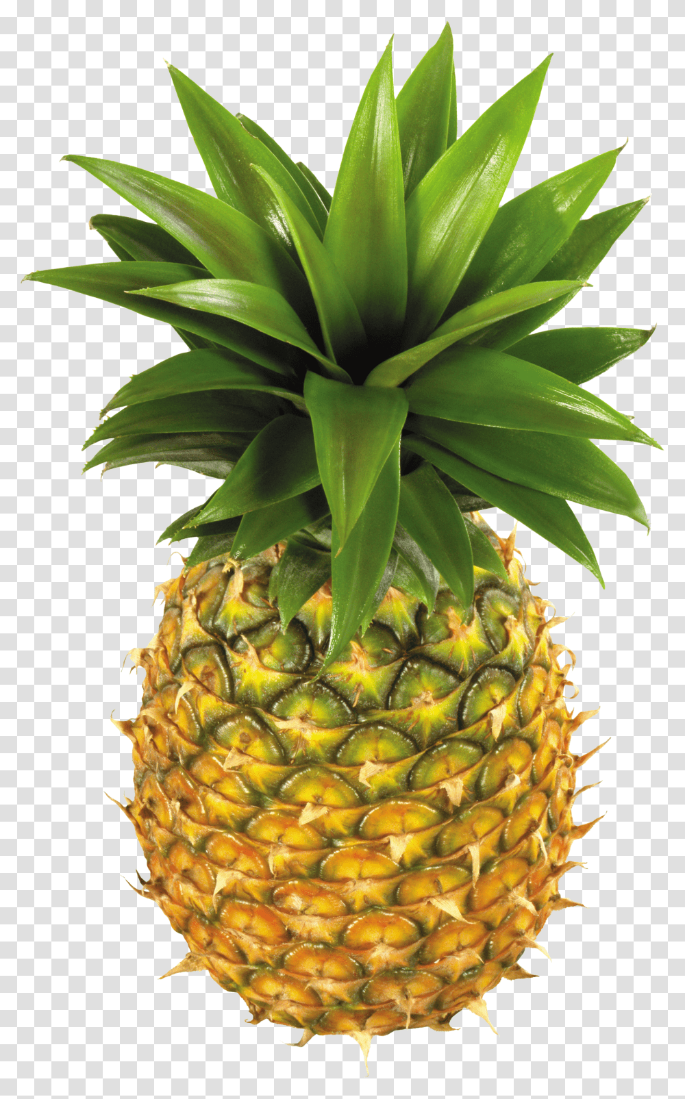 Pineapple, Fruit Transparent Png