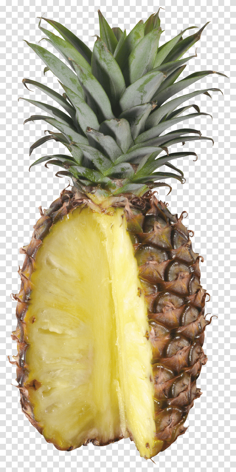 Pineapple, Fruit Transparent Png