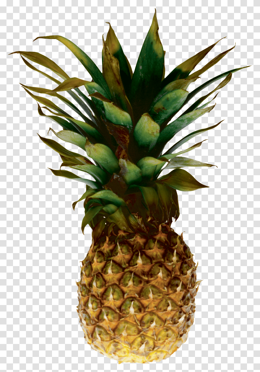 Pineapple, Fruit Transparent Png