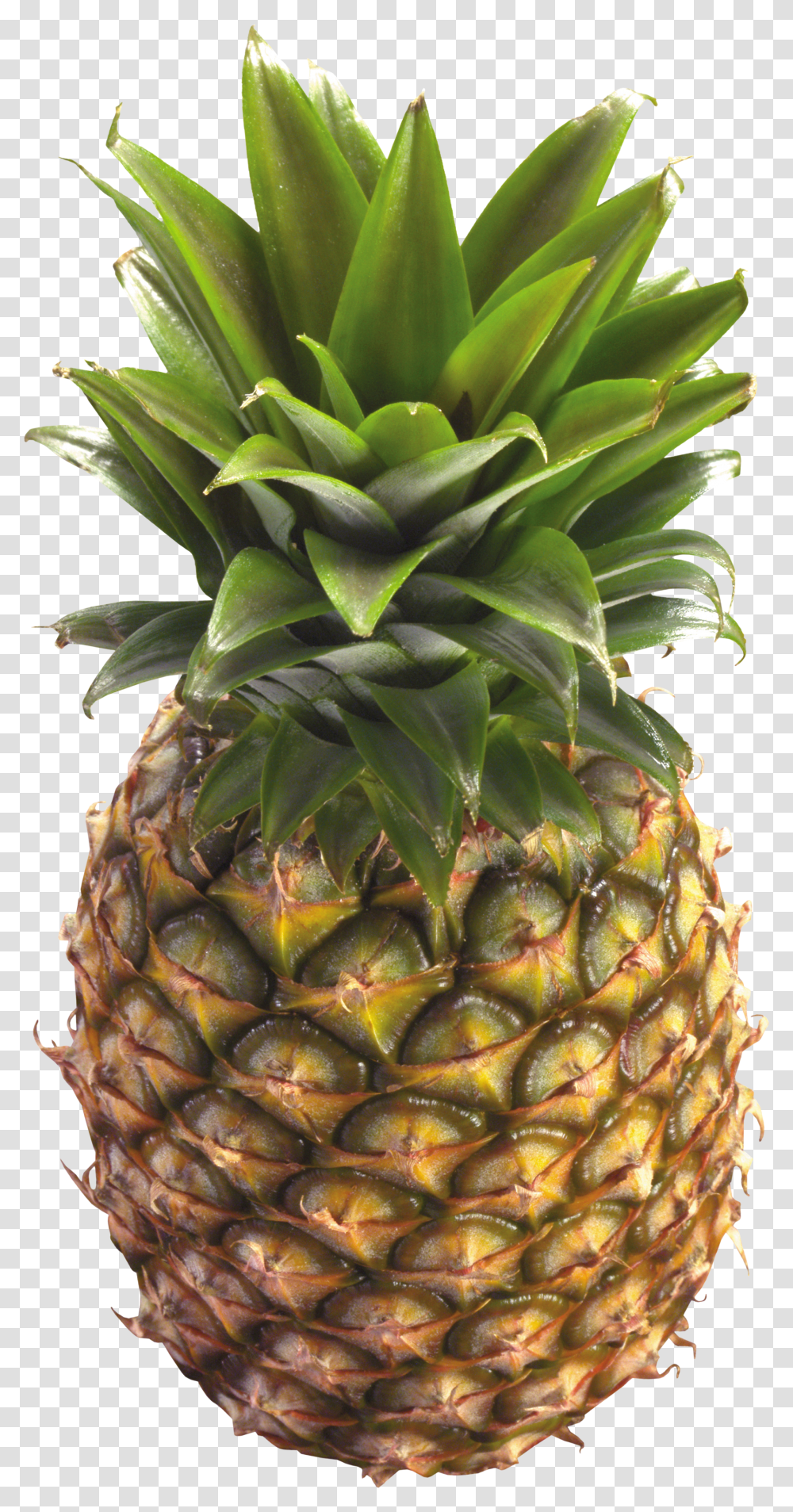 Pineapple, Fruit Transparent Png