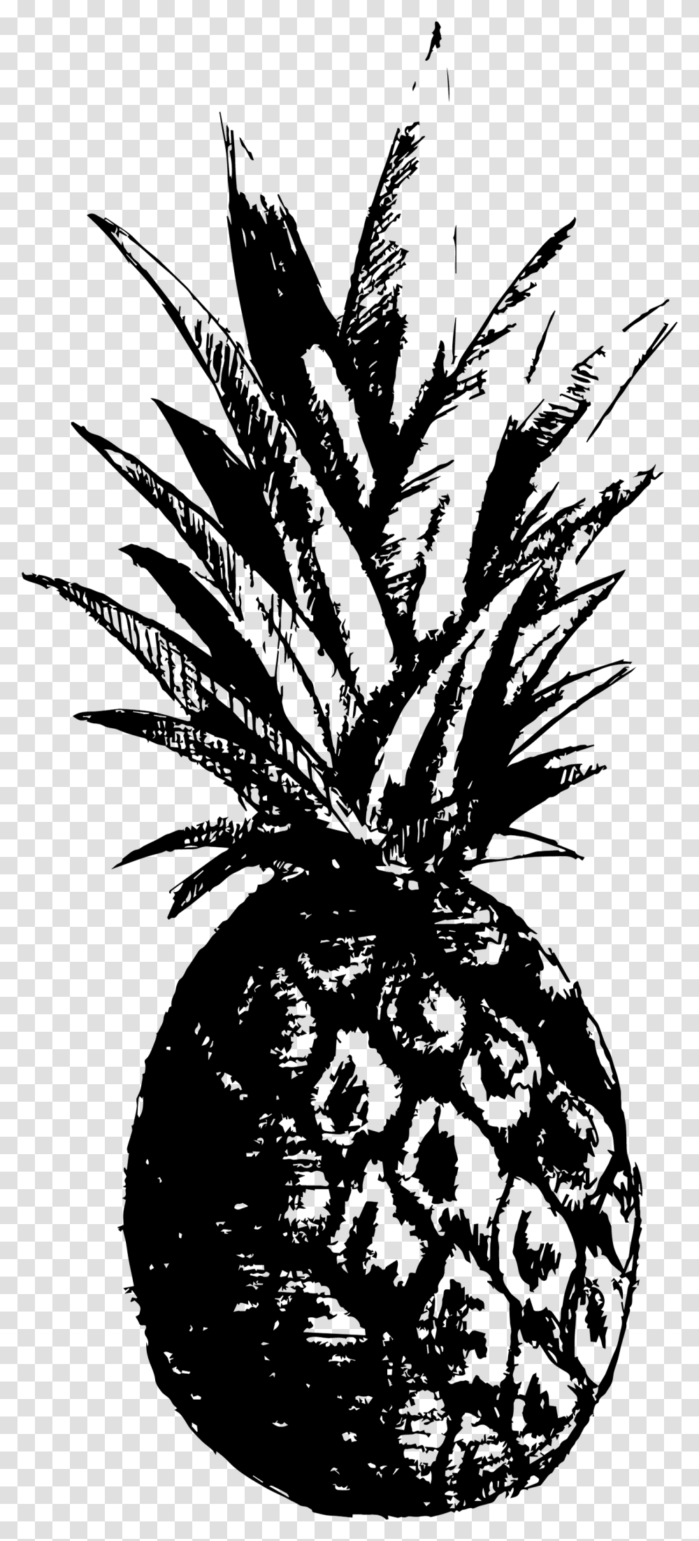 Pineapple, Gray, World Of Warcraft Transparent Png