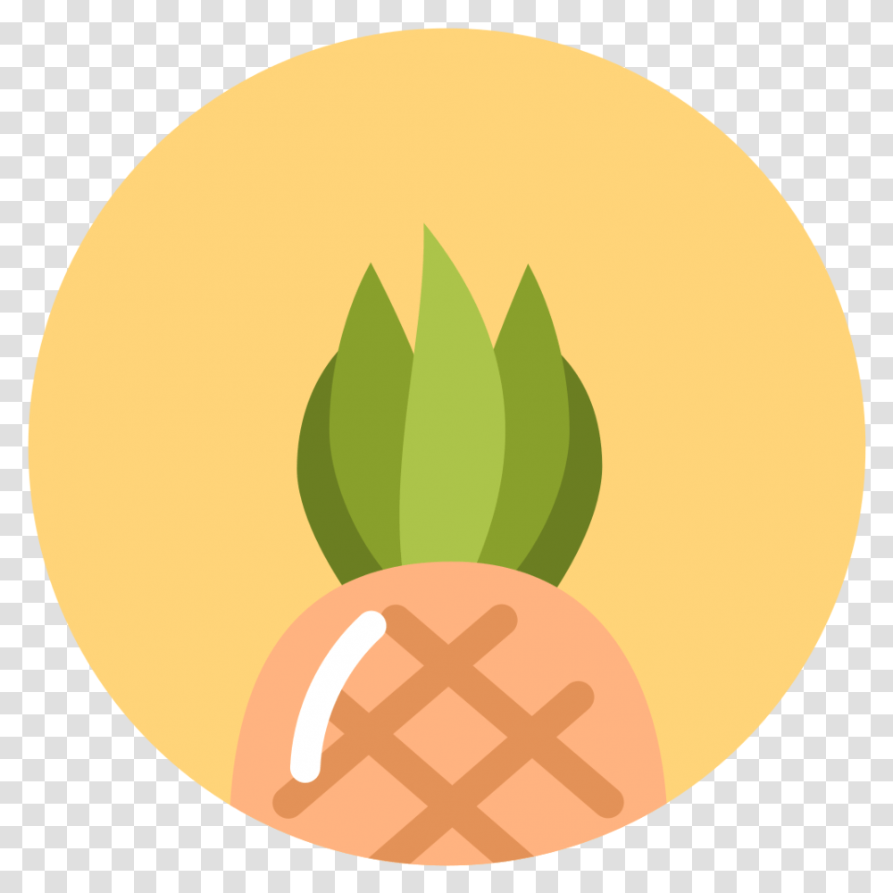 Pineapple Icon Minimal Fruit Iconset Alex T Tropical Summer Icon, Tennis Ball, Plant, Food, Vegetable Transparent Png