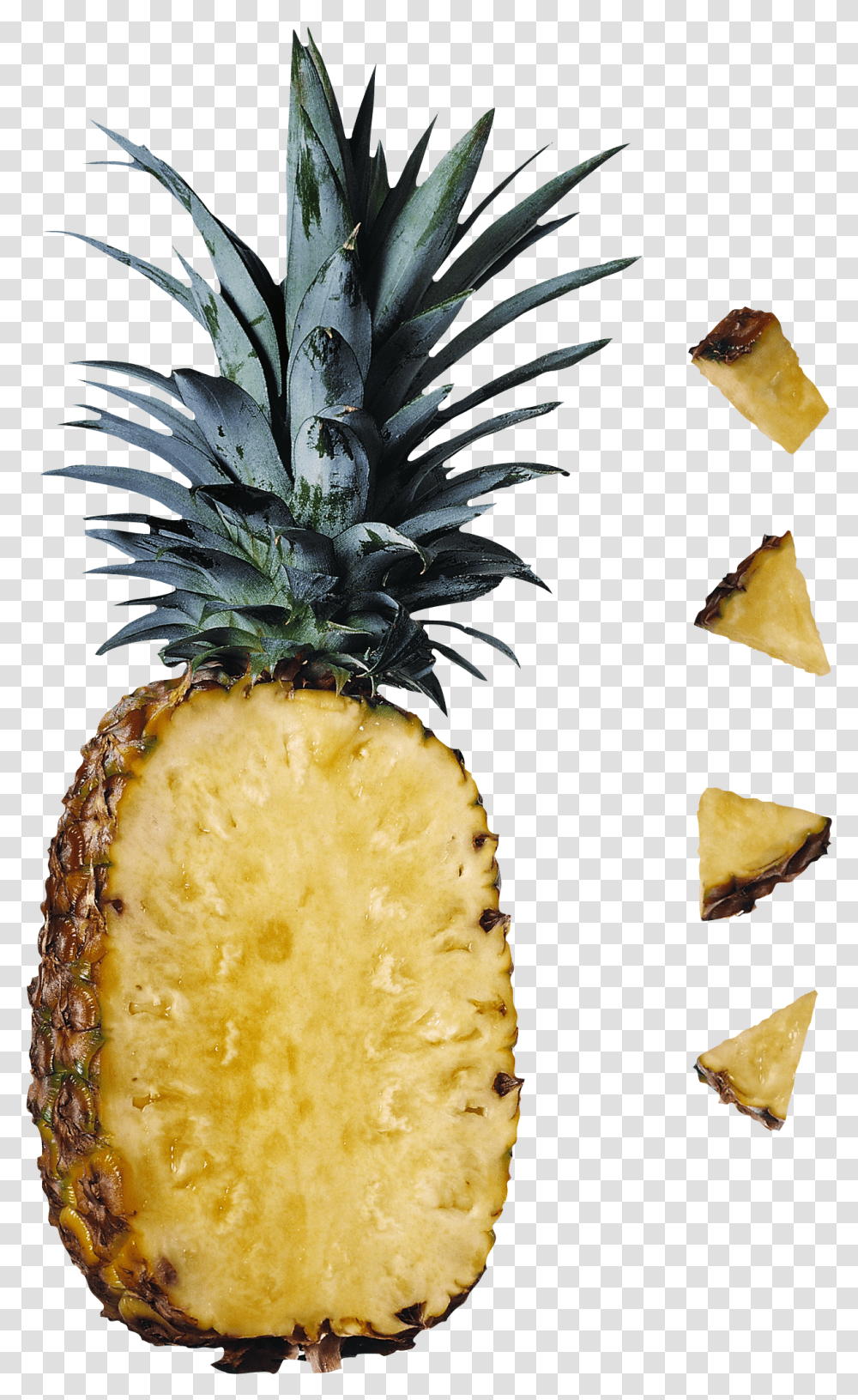 Pineapple Image Free Download, Fruit, Plant, Food, Bread Transparent Png