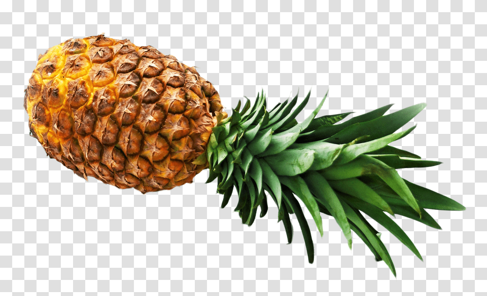 Pineapple Image, Fruit, Plant, Food Transparent Png