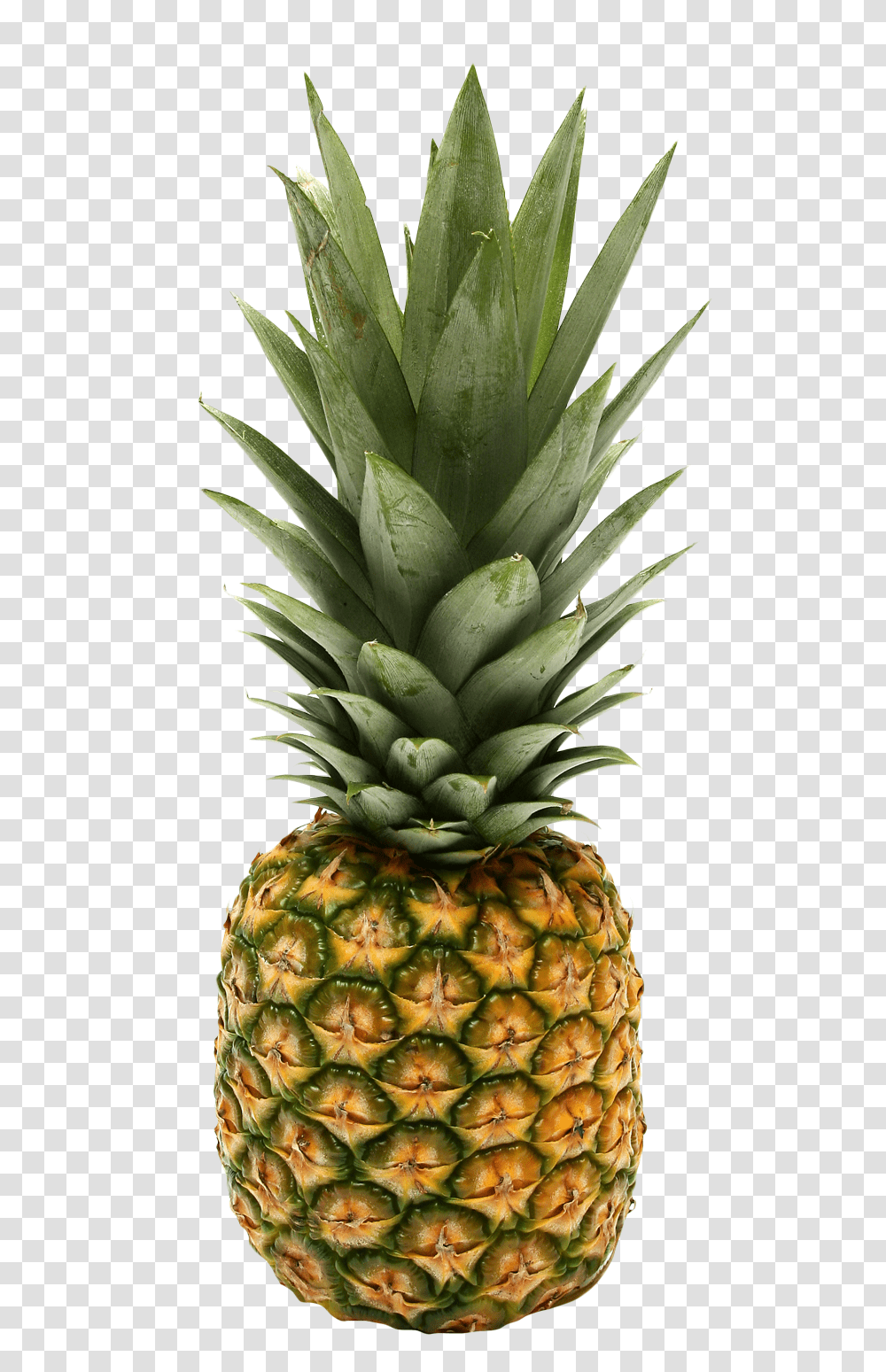 Pineapple Image, Fruit, Plant, Food Transparent Png