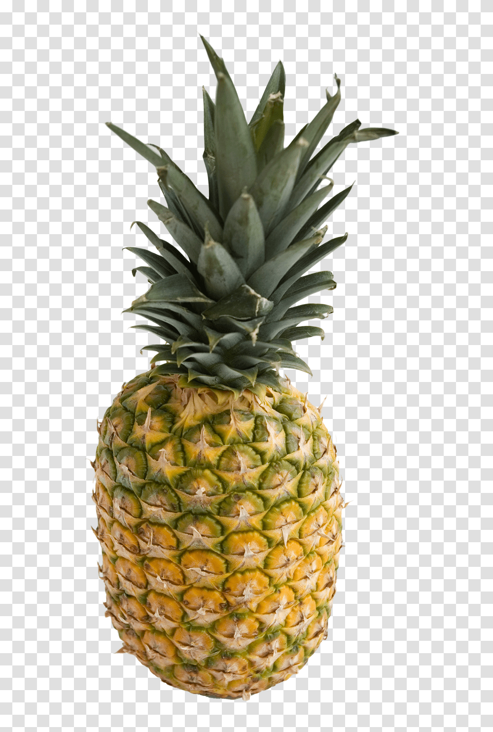 Pineapple Image, Fruit, Plant, Food Transparent Png