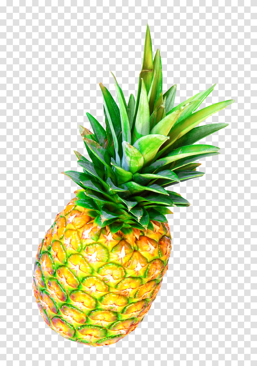 Pineapple Image, Fruit, Plant, Food Transparent Png