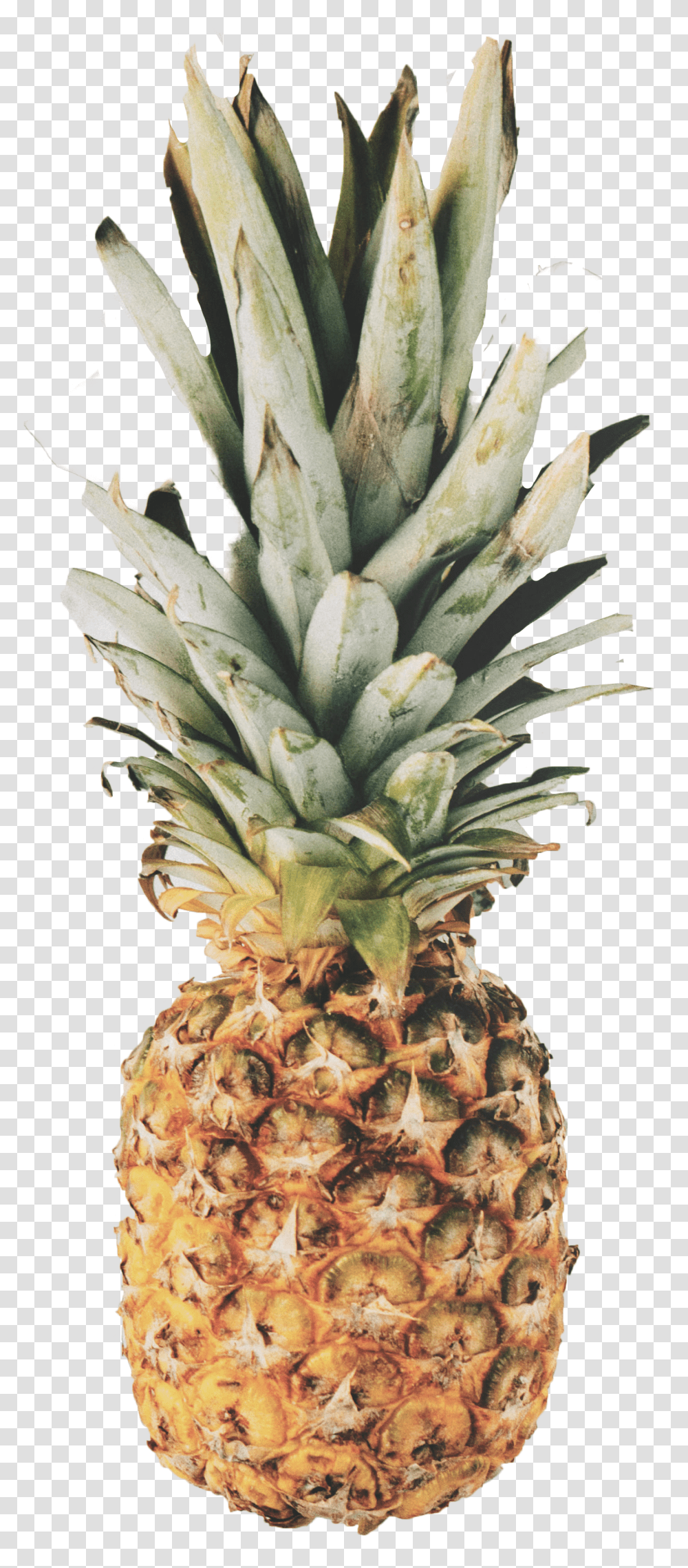 Pineapple Image Pineapple Marble Transparent Png