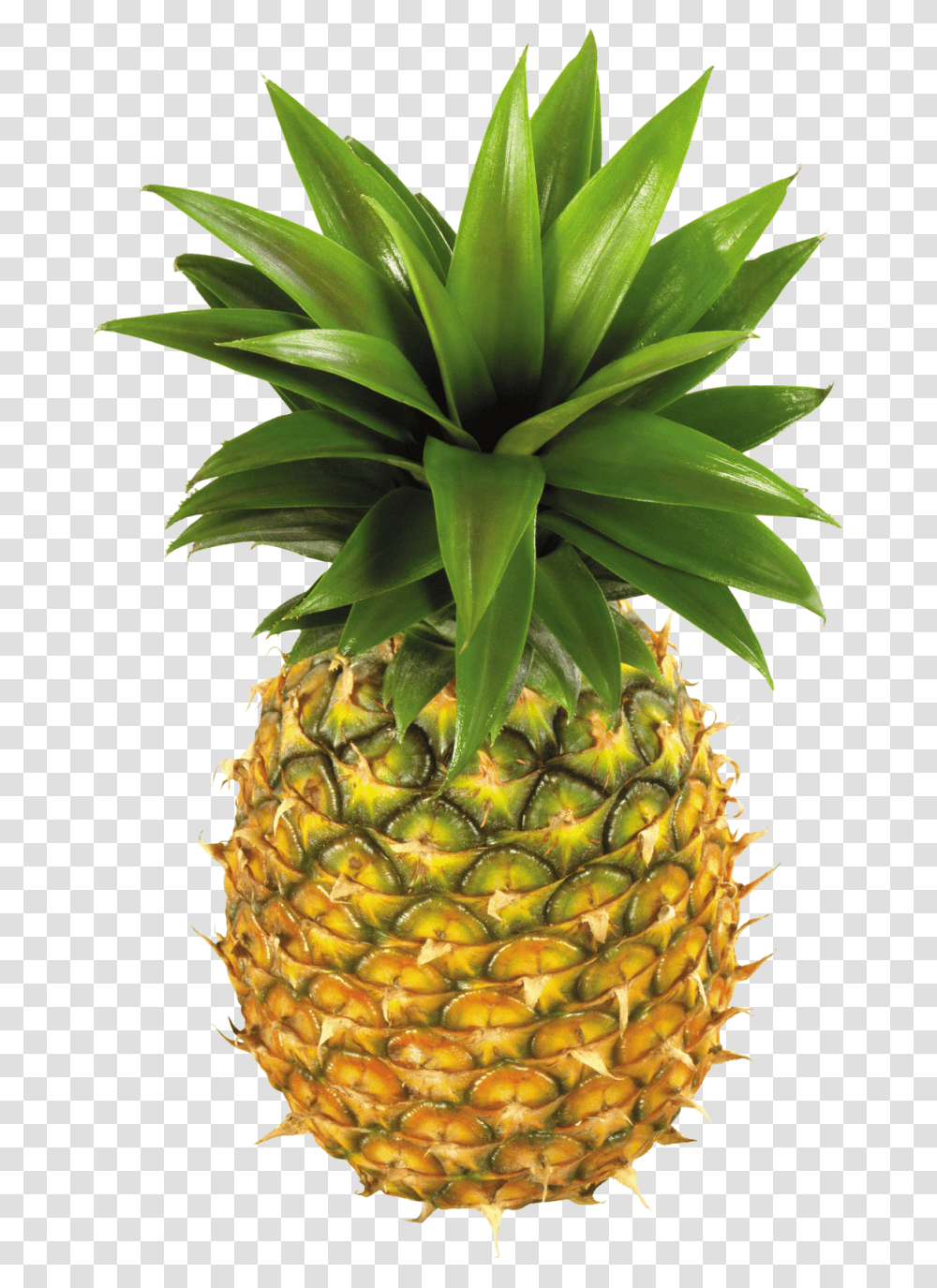 Pineapple Image Pineapples, Plant, Fruit, Food Transparent Png