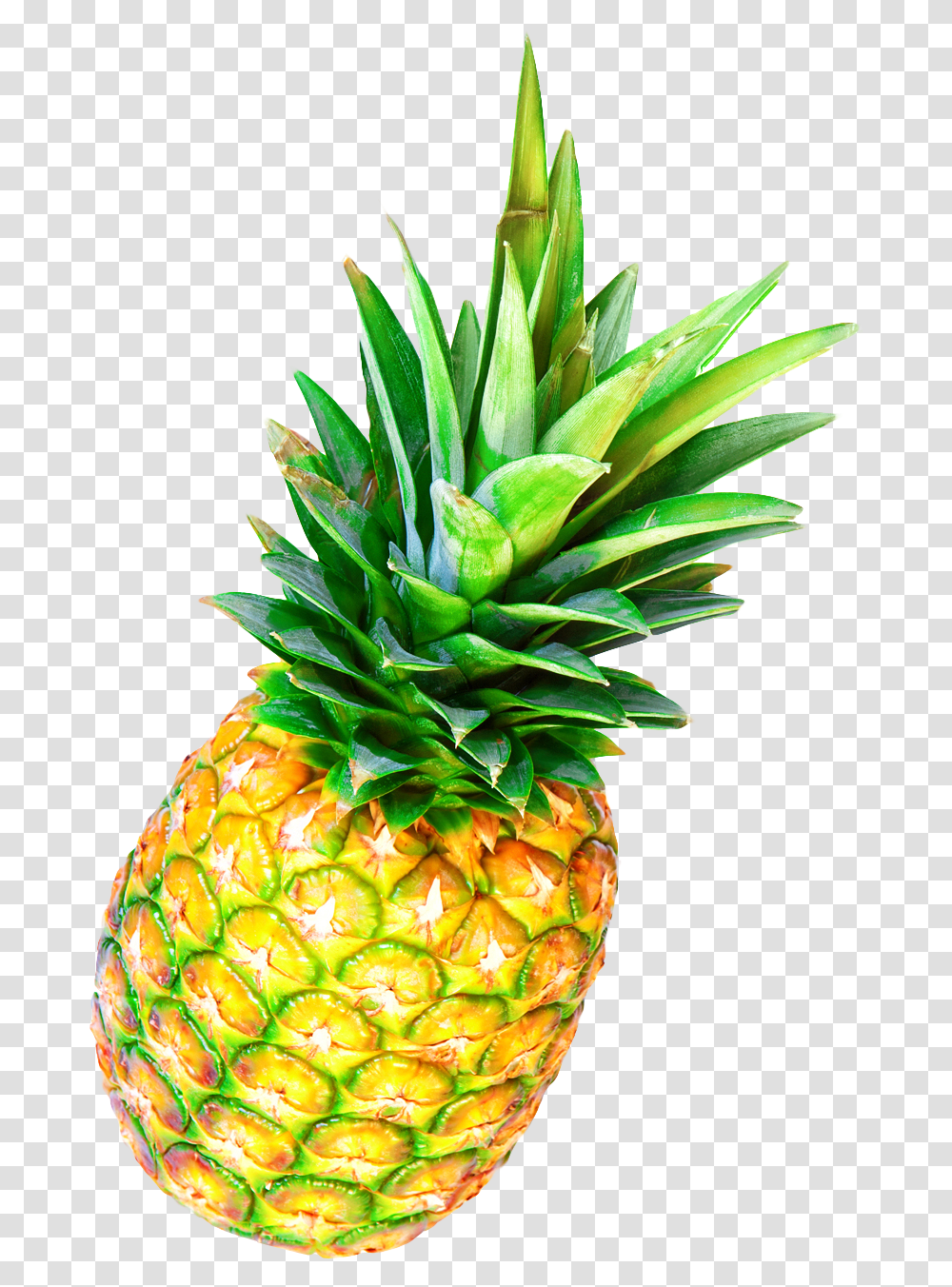 Pineapple Image Pngpix Pineapple Fruit, Plant, Food Transparent Png