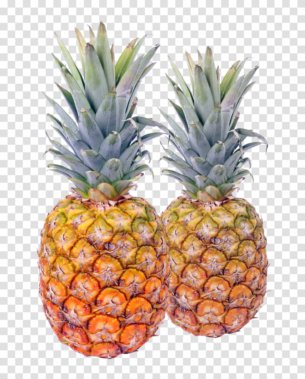 Pineapple Image Pngpix Pineapples, Plant, Fruit, Food Transparent Png