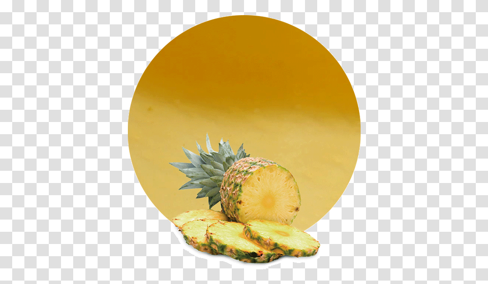 Pineapple Juice Concentrate Supplier Lemonconcentrate Pineapple, Plant, Fruit, Food, Burger Transparent Png