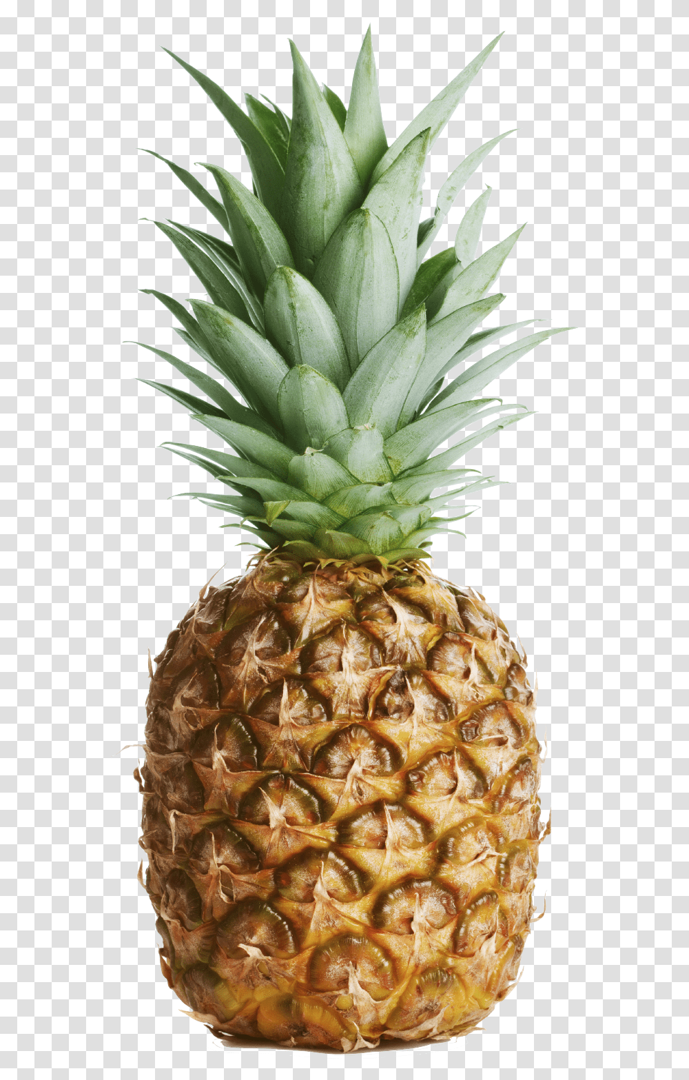 Pineapple No Background Pineapple With No Background, Fruit, Plant Transparent Png