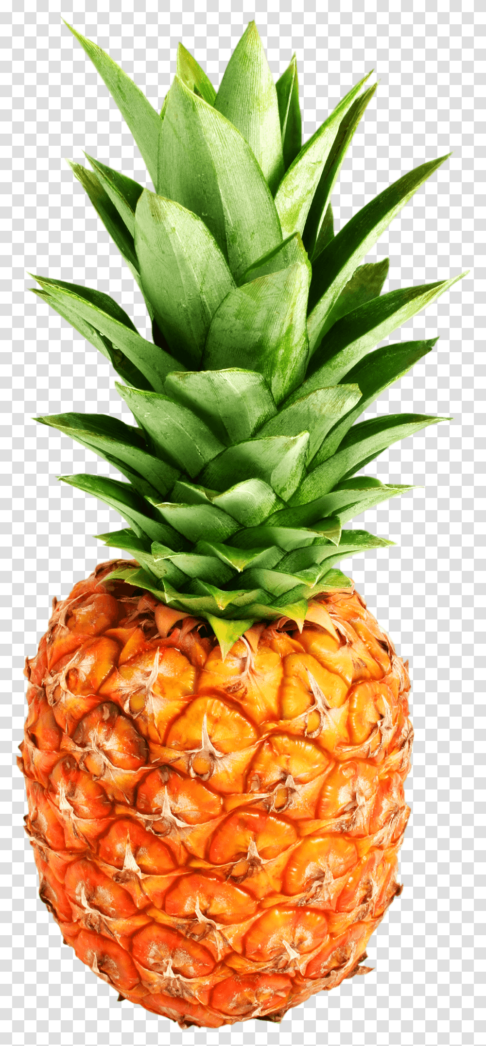Pineapple Photo Pineapple, Fruit, Plant, Food Transparent Png