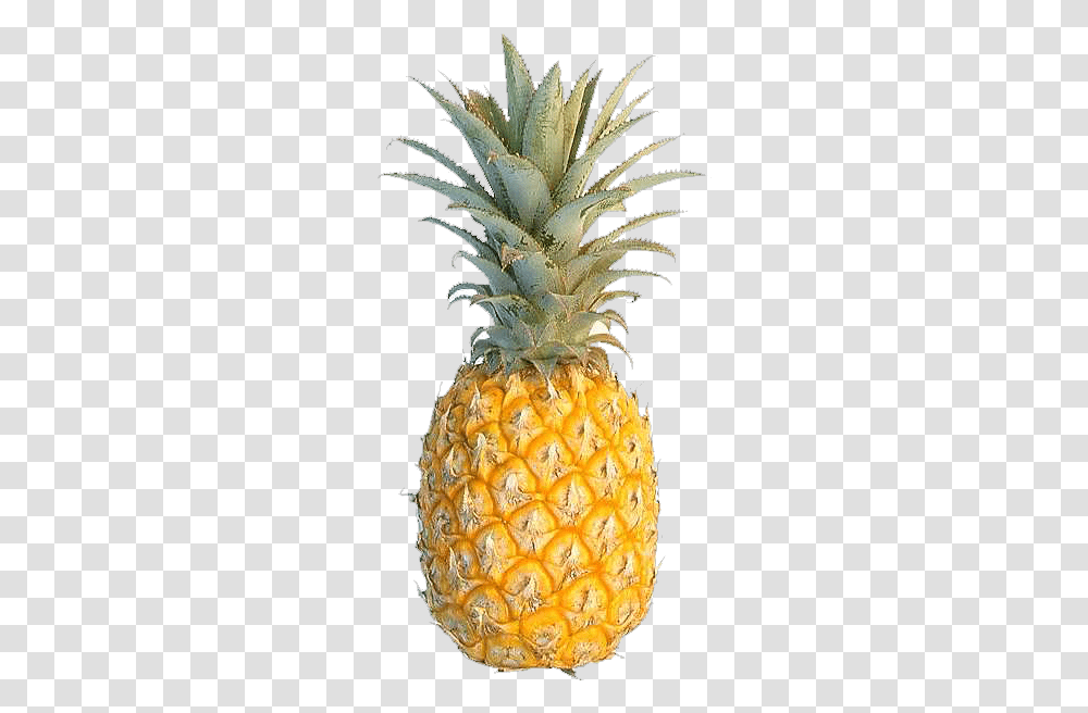 Pineapple Photo Pineapple Meaning In Urdu, Plant, Fruit, Food Transparent Png
