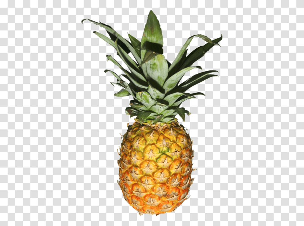 Pineapple Pineapple Translucent Pineapple Clear Background, Fruit, Plant, Food Transparent Png