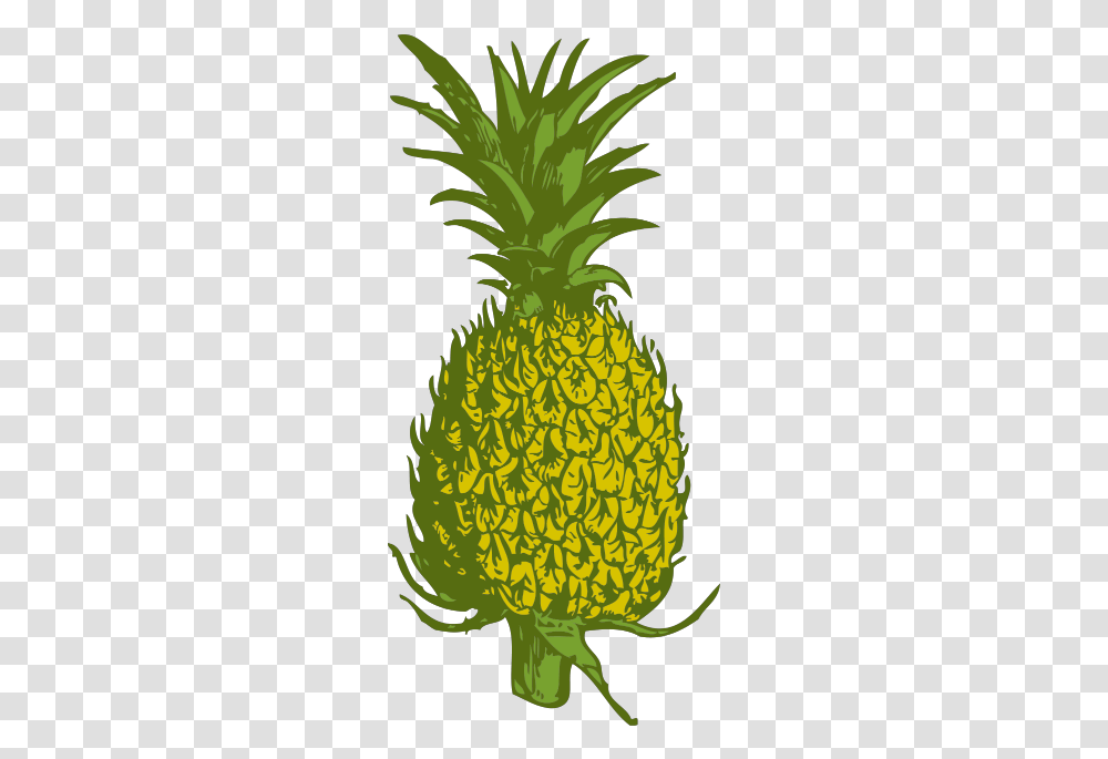 Pineapple Pineapple Tree Clipart, Plant, Fruit, Food Transparent Png