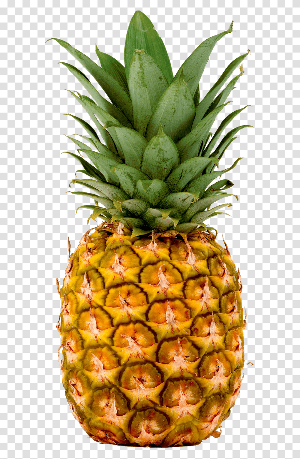Pineapple Pineapples Fresh Imports Pineapple, Fruit, Plant, Food Transparent Png