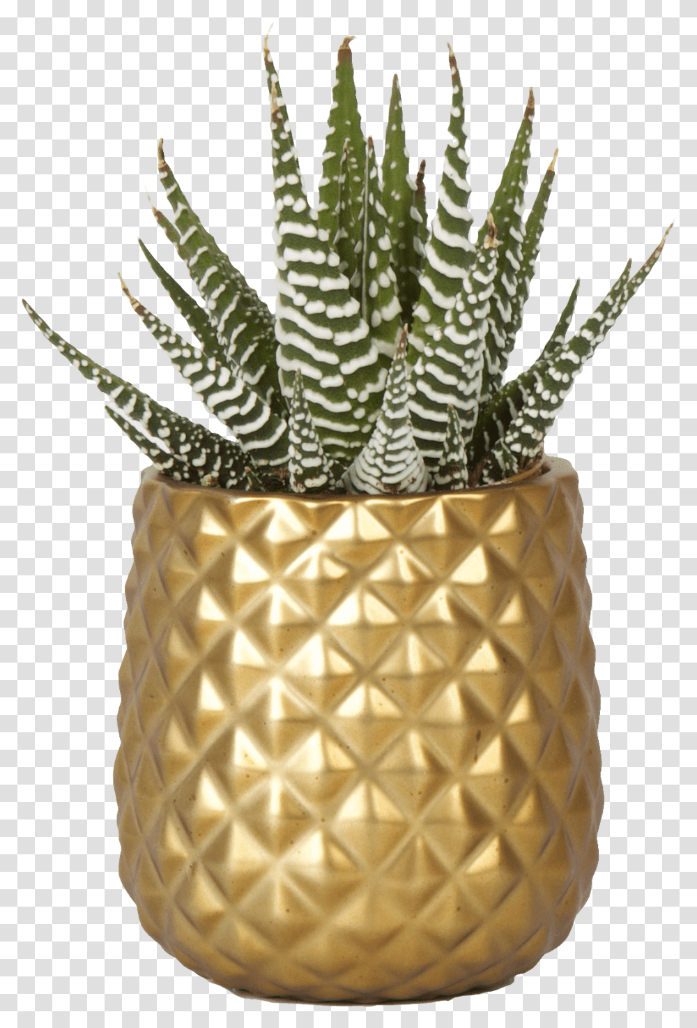 Pineapple, Plant, Aloe, Necklace, Jewelry Transparent Png