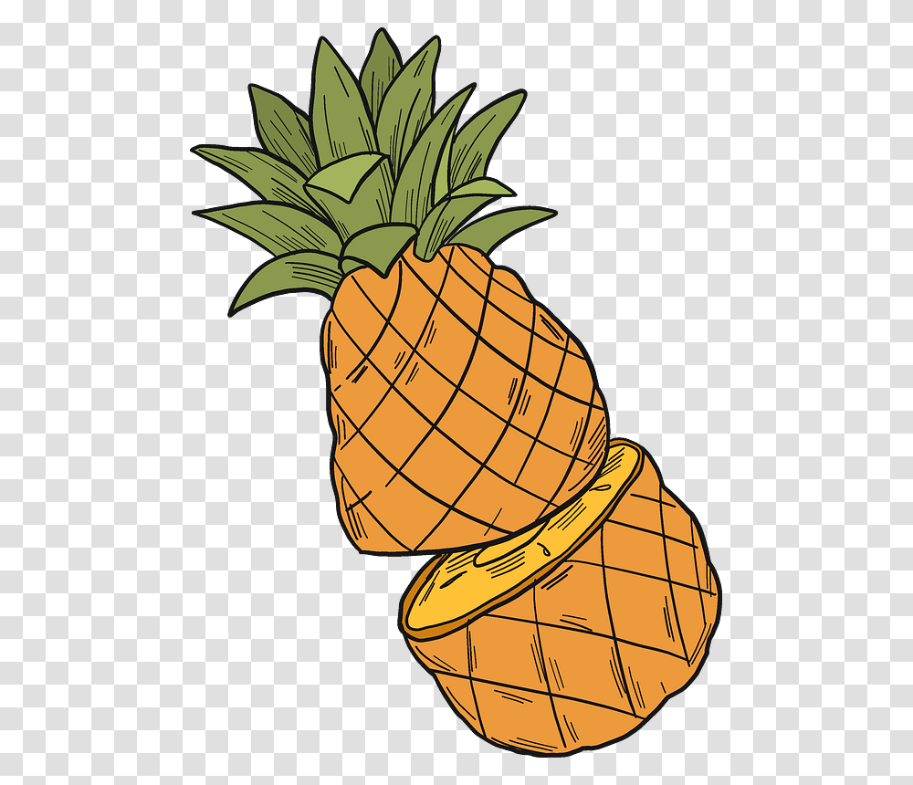 Pineapple, Plant, Fruit, Food Transparent Png