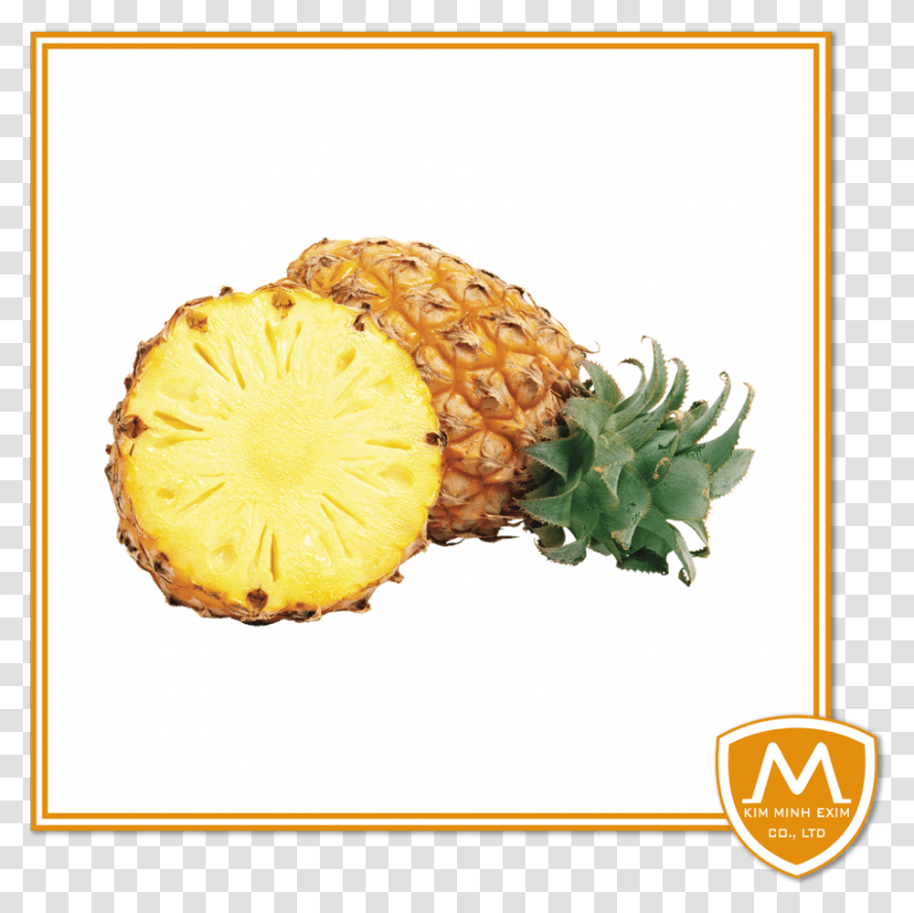 Pineapple, Plant, Fruit, Food Transparent Png