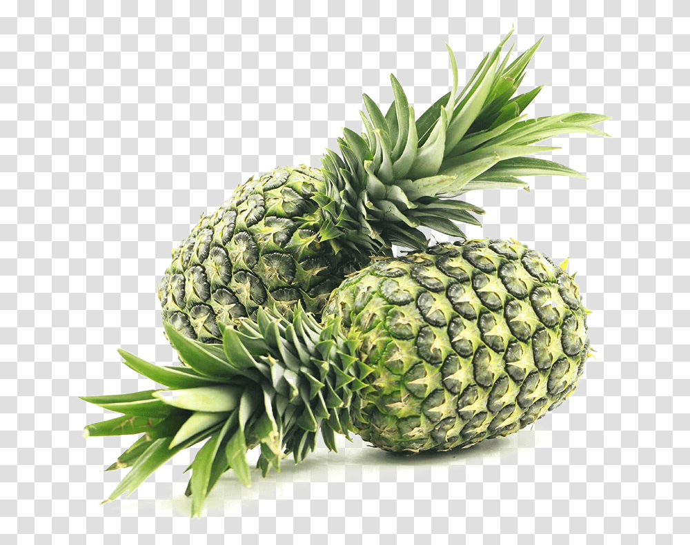 Pineapple, Plant, Fruit, Food Transparent Png