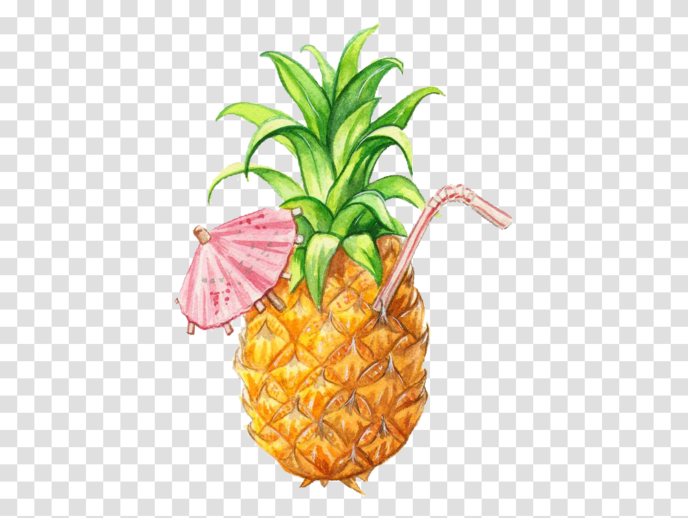 Pineapple, Plant, Fruit, Food Transparent Png