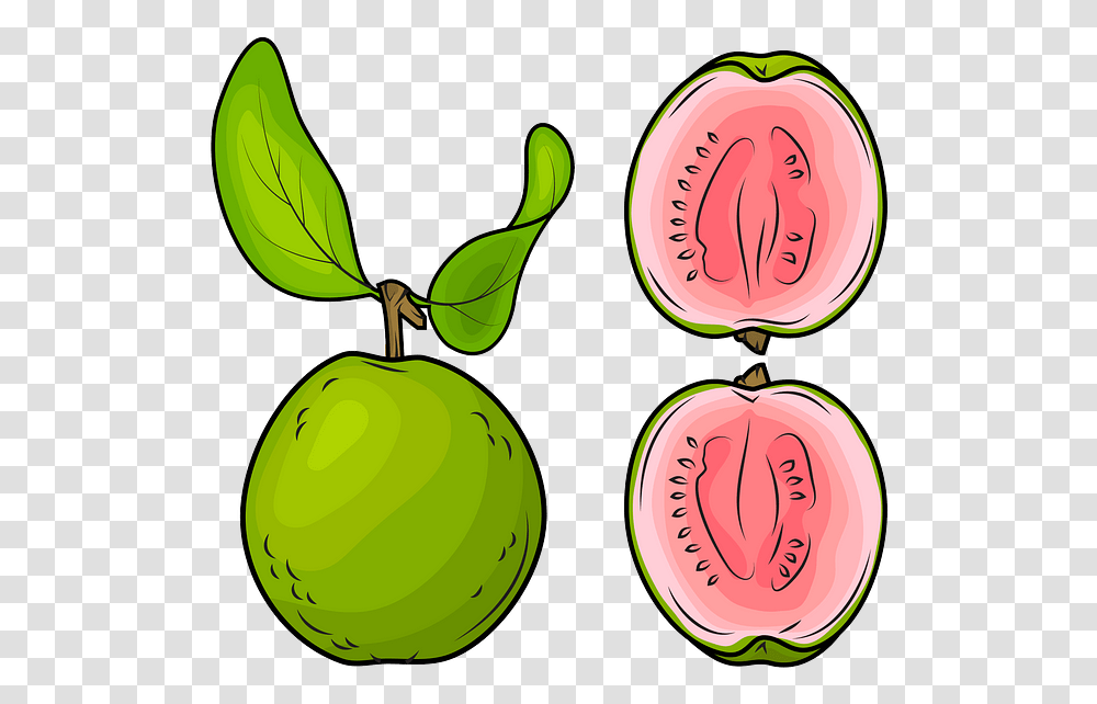 Pineapple, Plant, Fruit, Food, Watermelon Transparent Png