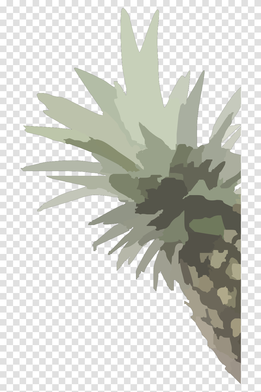 Pineapple, Plant, Leaf, Tree, Vegetation Transparent Png