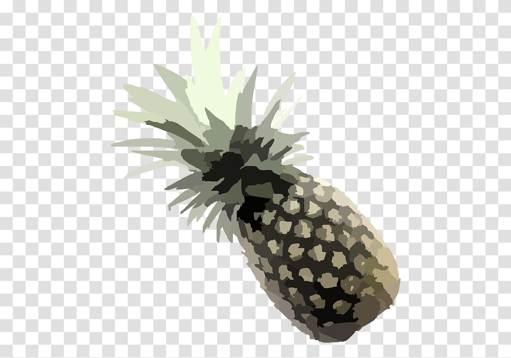 Pineapple Plant Tropical Free Vector Graphic On Pixabay Pineapple, Fruit, Food, Bird, Animal Transparent Png