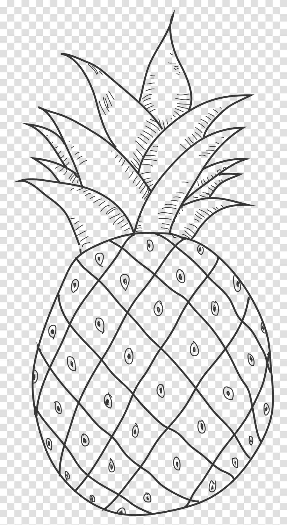 Pineapple, Plant, Turnip, Produce, Vegetable Transparent Png