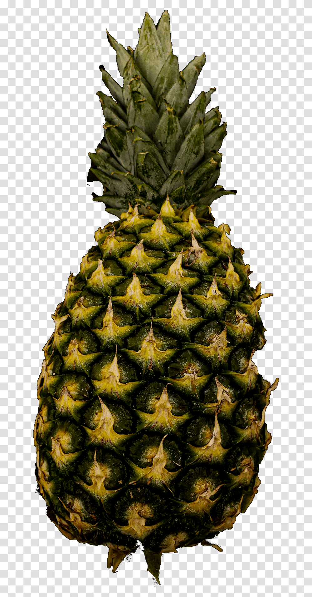Pineapple Public Domain Pictures Ananas, Fruit, Plant, Food Transparent Png