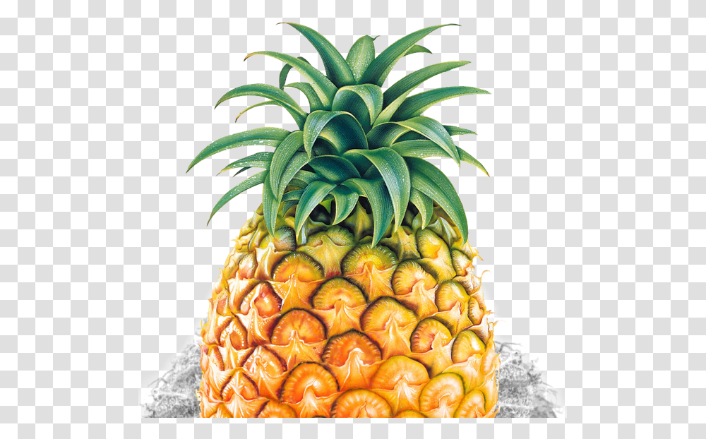 Pineapple Silhouette Pineapple Psd, Plant, Fruit, Food Transparent Png