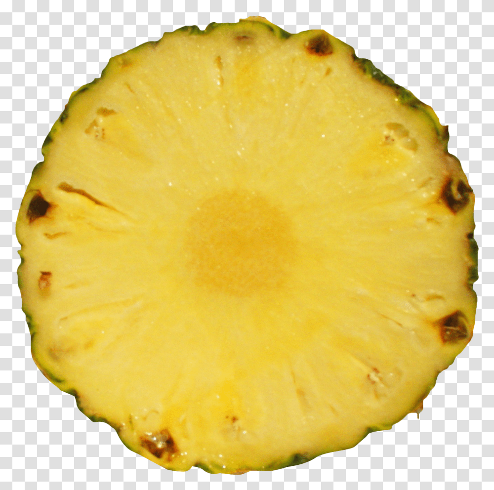 Pineapple Slice Image Pineapple Slice, Fruit, Plant, Food, Egg Transparent Png