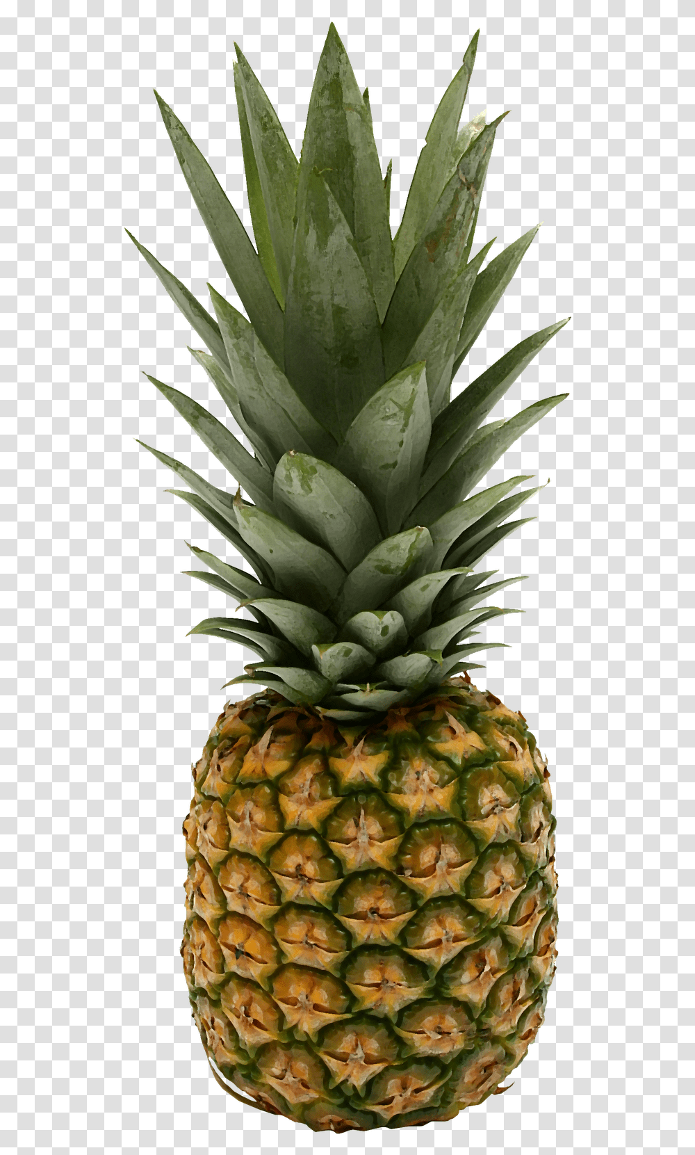 Pineapple Small Pics Of Pineapples 643x1600 Pineapple, Fruit, Plant, Food Transparent Png