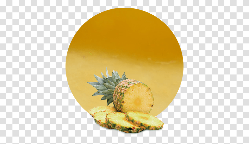 Pineapple Smooth Cayenne, Plant, Fruit, Food Transparent Png