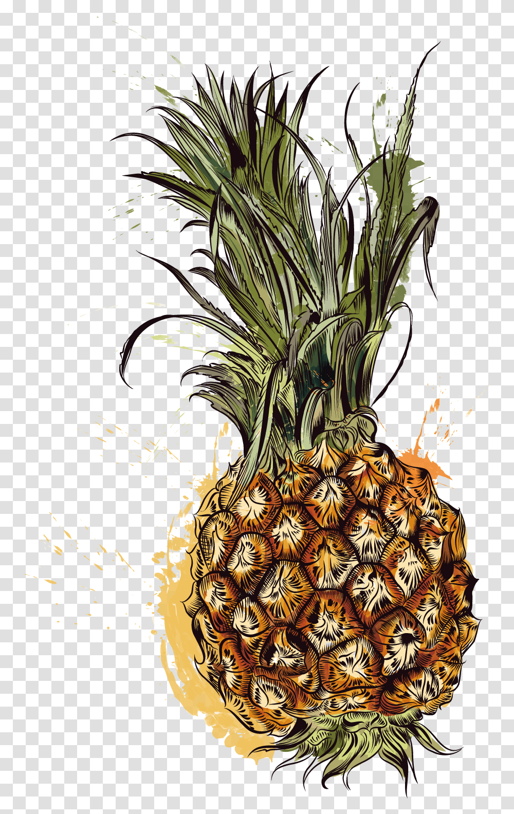 Pineapple Tropic Fruits Vector Graphics, Plant, Food Transparent Png